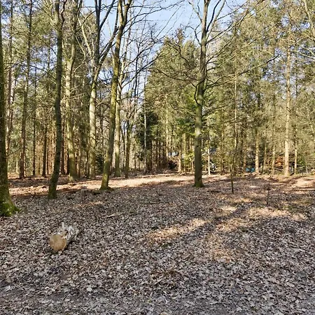 The Forest Holiday home *